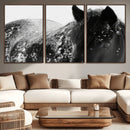 Black Horse in Snow Canvas Print | Winter Horse Wall Art |