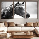 Horse Canvas Print - Winter Horse Snow Wall Art Canvas Print