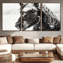 Framed Black and White Horse Wall Art | Ready to Hang and by MyGreatCanvas | Canvas Wall Art Prints | Photo Prints & Wall Decor