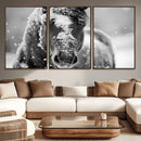 Black and White Horse Winter Wall Art | Ready to Hang and