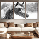 Black Horse Winter Wall Art | Ready to Hang and Framed |