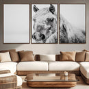 White Horse Wall Art | Ready to Hang and Framed | Winter