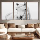 Majestic White Horse Wall Art | Ready to Hang and Framed |