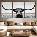 Longhorn Bull Canvas Print | Rustic Farmhouse Wall Art |