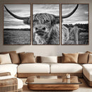 Scottish Highland Cow Wall Art Canvas Print | Ready to Hang