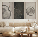 Modern Abstract Tree Ring Canvas Art Set | 3 Panel Large