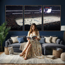 Honda Center California Anaheim Ducks Hockey Stadium Wall