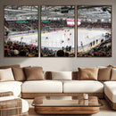 Lausanne Arena Ice Hockey Stadium Wall Art Canvas Print,