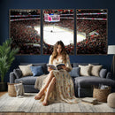 PNC Arena Raleigh North Carolina Hurricanes Hockey Stadium