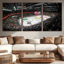 Vaudoise Lausanne Ice Hockey Arena Stadium Wall Art Canvas,