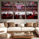 Carolina Hurricanes Ice Hockey Stadium Wall Art, Carolina