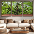 Framed Angel Oak Tree Wall Art - 3-Panel Canvas Prints,