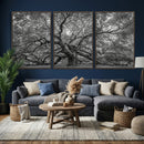 Majestic Angel Oak Tree Black and White Canvas Print – Multi