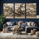 Sepia Framed Angel Oak Tree Wall Art - 3-Panel Canvas by MyGreatCanvas | Canvas Wall Art Prints | Photo Prints & Wall Decor
