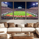 NC State Wolfpack Canvas Print - Raleigh Carter-Finley