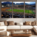 Colorado Buffaloes Canvas Print - Boulder Folsom Field