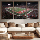 Houston Cougars Football Team Print - Houston TDECU Stadium