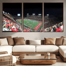 Houston Cougars Football Team Print - Houston TDECU Stadium