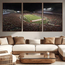 Wisconsin Badgers Football Team Print - Madison Camp Randall