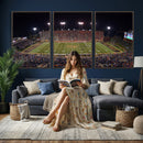 Demon Deacons Print Canvas, Football Team Print -