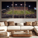 Demon Deacons Print Canvas, Football Team Print -