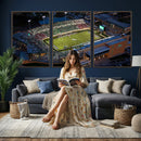 University of North Texas Mean Green Football Artwork,