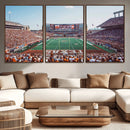 Framed Texas Memorial Stadium Canvas, University of Texas