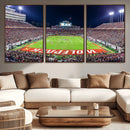Wolfpack Football Team Print - Raleigh Carter-Finley Stadium
