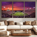 East Carolina University Pirates Football Print Canvas-