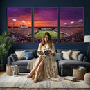 East Carolina University Pirates Football Print Canvas-