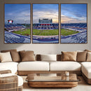 Florida Atlantic University Owls Football Team Print - Boca by MyGreatCanvas | Canvas Wall Art Prints | Photo Prints & Wall Decor