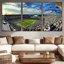 Framed USF Bulls Football Team Print - Tampa Raymond James by MyGreatCanvas | Canvas Wall Art Prints | Photo Prints & Wall Decor