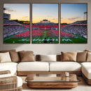 NC State Wolfpack Football Team Print Wall Art - Raleigh