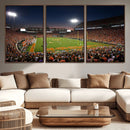 Clemson University Tigers Art Print, Football Team Print -