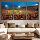 Clemson University Tigers Football Team Print - Clemson