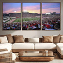 Indiana University Hoosiers Football Team Print -