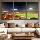 Iowa State University Cyclones Art Print, Football Team