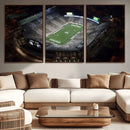 Michigan State Spartans Football Team Print - East Lansing