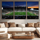 Michigan State Spartans Football Team Print - East Lansing