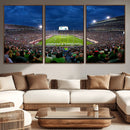 Michigan State Spartans Football Team Print - East Lansing