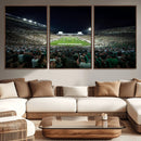 Framed Michigan State Spartans Football Team Print - East