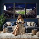 Michigan State Spartans Canvas, Framed Football Team Print -