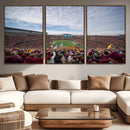 University of Minnesota Golden Gophers Football Team Print - by MyGreatCanvas | Canvas Wall Art Prints | Photo Prints & Wall Decor
