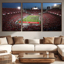 Ohio State University Buckeyes Football Team Print -