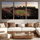 Ohio State University Buckeyes Football Team Print -