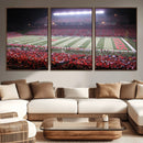 Rutgers University Scarlet Knights Football Team Print -