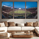 Texas Tech Red Raiders Canvas, Framed Football Team Print -
