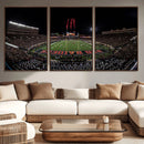 Framed Texas Tech Red Raiders Stadium Canvas, Texas Tech Red