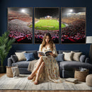 University of Maryland Terrapins Football Team Print -