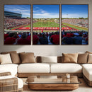 Ball State Cardinals Football Team Print - Muncie Scheumann